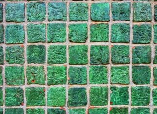 Co zamiast płytek w kuchni nad zlewem? Co zamiast płytek w kuchni nad zlewem?