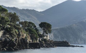 Ile kosztuje wymiana frontów w meblach kuchennych?