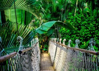 Ile trwa kurs na stolarza? Ile trwa kurs na stolarza?