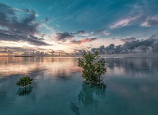 Ile jest gwarancji na narożnik Agata Meble?
