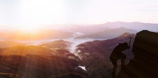 Ile zapłacić za wniesienie mebli?