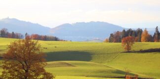 Ile na rękę 4200 brutto?