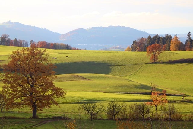 Ile na rękę 4200 brutto? Ile na rękę 4200 brutto?