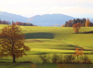Ile to jest 10000 brutto na netto? Ile to jest 10000 brutto na netto?