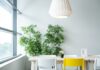Czy Ikea Family jest za darmo?