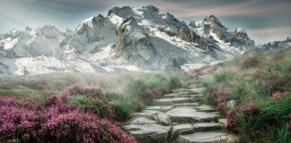 Jakie kamienie warto nosić?