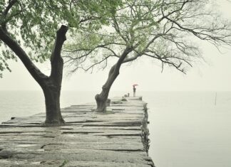 Gdzie kupić płyty meblowe na wymiar?