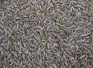 Kto produkuje dla IKEA w Polsce?