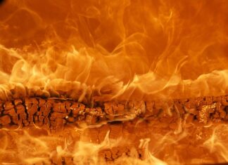 Co to za marka Good Home?