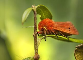 Jak zrobić metamorfozę kuchni? Jak zrobić metamorfozę kuchni?