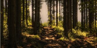 Jak włączyć nagrywanie w kamerze samochodowej?