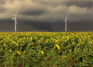 W jakiej kolejności podłączyć kable rozruchowe? W jakiej kolejności podłączyć kable rozruchowe?