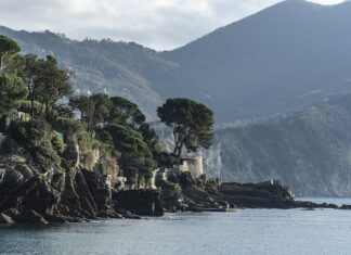 Ile kosztuje Ford Fiesta z 2015 roku? Ile kosztuje Ford Fiesta z 2015 roku?