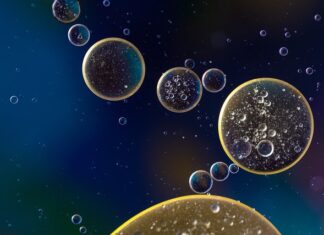 Ile kosztuje wymiana oleju w Fordzie Ka? Ile kosztuje wymiana oleju w Fordzie Ka?