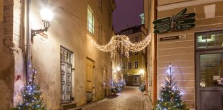 Czy można jeździć z choinką na dachu?