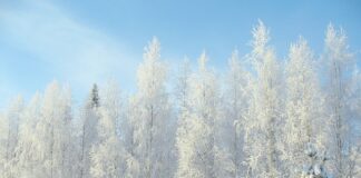 Dlaczego najpierw odpinamy minus?