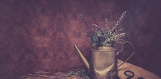 Jaka końcówka do smarownicy forum?