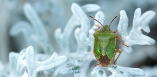 Jakie tanie auto na początek?