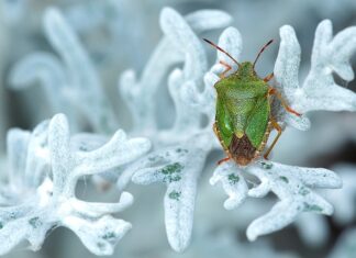 Jakie tanie auto na początek? Jakie tanie auto na początek?