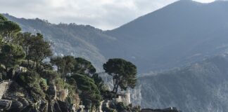 Ile kosztuje zamontowanie kamery cofania w samochodzie?