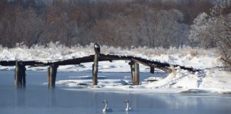 Jaki przekrój przewodu do jakiej mocy?