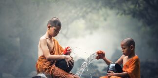 Czym czyścić kamery?