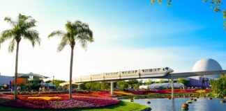 Jaki silnik do Orlando?