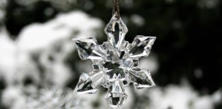 Ile kosztuje 1 kWh na stacji ładowania?