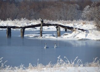 Jaki przekrój przewodu do silnika 11 kW?