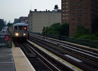 Co oznacza L1 L2? Co oznacza L1 L2?