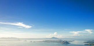 Jaki jest najmniejszy Ford?